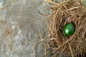 Easter holiday background. green easter egg in nest. Easter mocku up