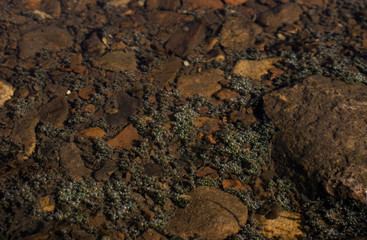Close-up of river water with pebbles and bubbles