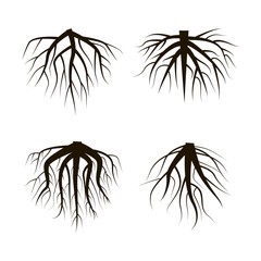 black roots of different shapes