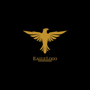 Golden Eagle with Black Background, Vector, Illustration