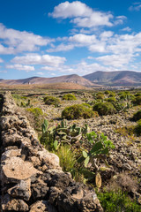 Fototapeta na wymiar Footpath Villa Verde Fuerteventura Canary Islands Spain