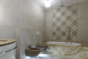 Modern bathroom interior. Large bath and marble walls. Rain shower. Brown toilet and bidet. Bottom light.