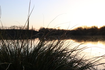 Fototapeta premium sunset over lake