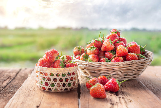 fresh ripe strawberries in basket