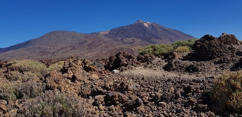 Teide nature