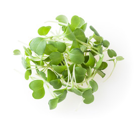 Heap of micro greens arugula sprouts isolated on white background