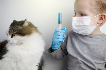 A child in a medical mask plays at the vet. The boy pretends to be treating a Norwegian forest cat. The concept of popularizing the profession of a veterinarian
