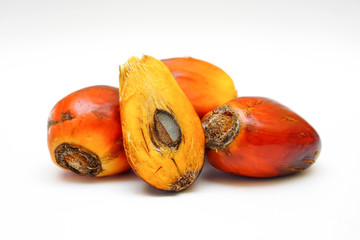 Group of oil palm seed on the white background