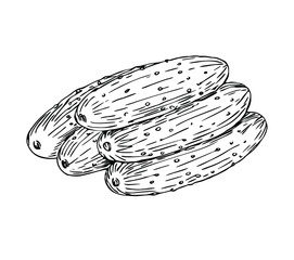 Cucumbers lying downhill in line art style.