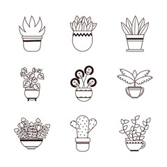 plants inside pots line style icon vector design