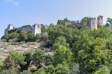 Fototapeta premium old ruins on the hill are gradually taken by nature