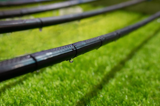 Close up photo with selective focus of drip irrigation system on the green lawn