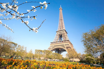 Fototapeta na wymiar Eiffel Tower with spring trees in Paris, France