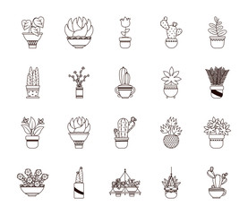 plants inside pots line style icon vector design