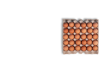 Chicken egg panels isolated on white background
