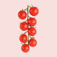 branch of ripe cherry tomatoes on a pink background