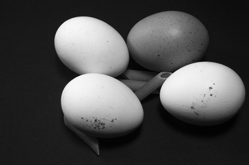 uovo, pasta, bianco e nero