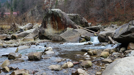 Landscape of a mountain river in the forest in early autumn and late summer. water in a natural stream. beautiful and relaxing forest with a river. River deep in mountain forest. Nature composition.