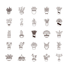 plants inside pots line style icon vector design
