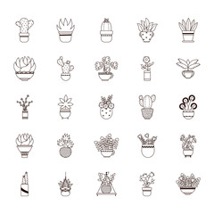 plants inside pots line style icon vector design