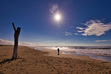 Panorama against the sun from the beach of Versilia Tuscany Italy