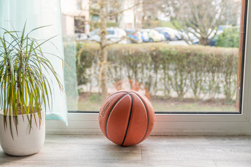 Ballon de basket à la maison