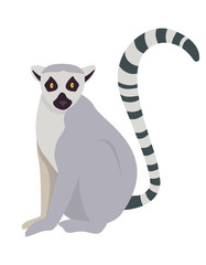 Fototapeta na wymiar Lemur in cartoon style. Cute animal isolated on white background.