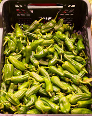 Fresh vegetables from the market