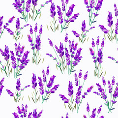 Pattern of lavender flowers on a white background
