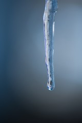 Frozen water icicle on a background of winter spring time.