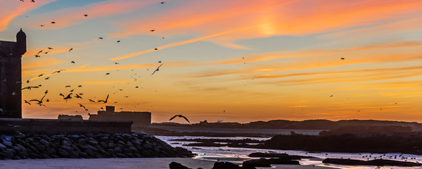 Panorama view of the silhouette from the old Fort Essaouira, Sqala du Port, at sunset, blue sky, background with flying Seagulls in Essaouira, Morocco