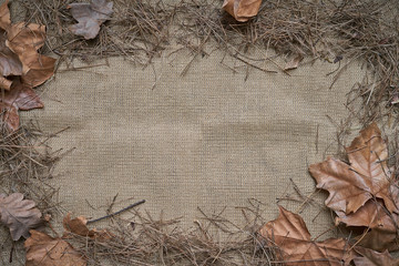 Natural red autumn leaves frame