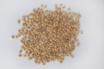 Pearl barley against a white background