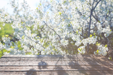 Empty wooden table with cherry blossoms Spring nature flower background. Sakura, Japan.