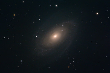 The Bode's Galaxy Messier 81 in the constellation Ursa Major photographed from Mannheim in Germany.
