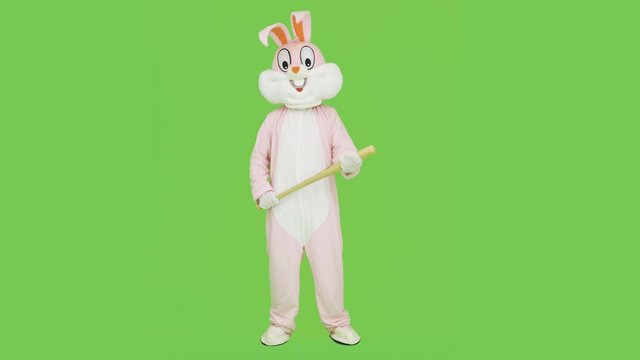 Bad guy or bully in adult easter rabbit bunny life-size suit costume with baseball bat want to fight, kill on green screen, chroma key