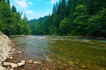 landscape, beautiful view of mountain river in summer day, fast flowing water and rocks, wild nature
