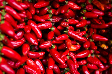 Red chilli peppers on the market