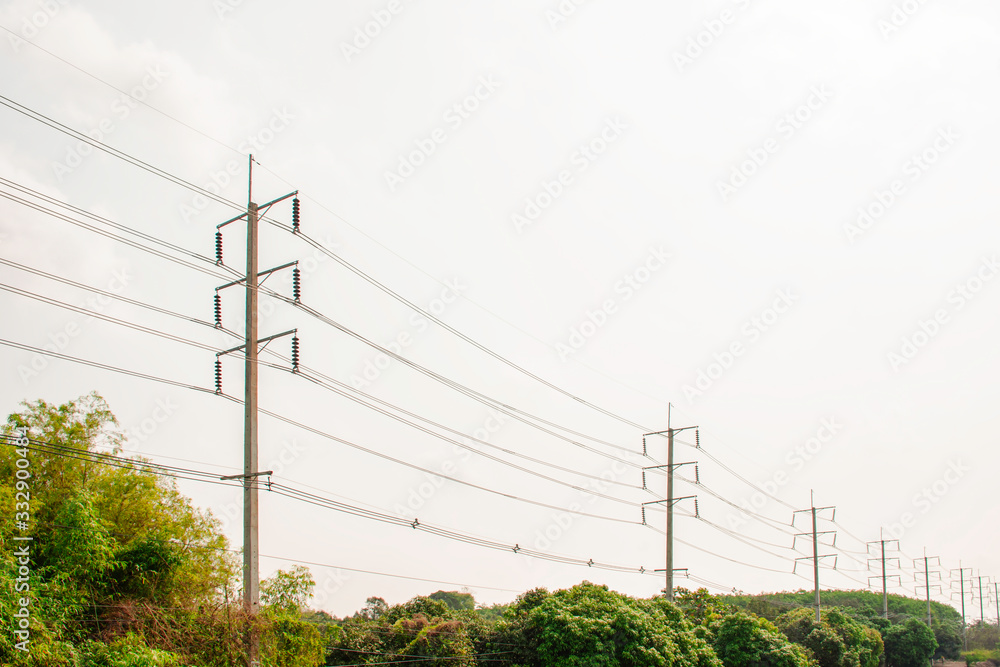 Wall mural vintage of electricity pole with green tree nature, transmission line of electricity to rural