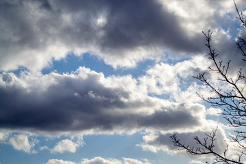 Grey white clouds on blue sky with a branch on the right side. Spring day. Beautiful nature background.