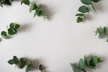 Creative layout made with green leaves on bright background. Minimal nature love idea. Spring...