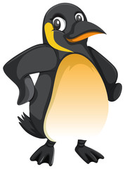 Cute penguin on white background