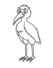 Cartoon Animal Ibis. Vector illustration. For pre school education, kindergarten and kids and children. Coloring page and books, zoo topic. With smiling happy face, friendly tropical exotic crane bird