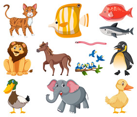 Large set of different types of animals on white background