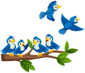 Blue birds on the branch on white background