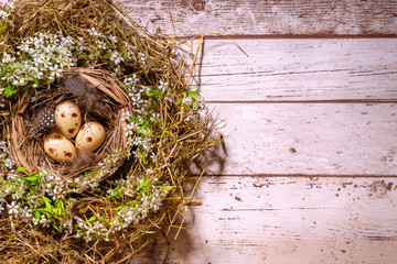 Naklejka na ściany i meble Congratulations on Easter. Bird's nest with pockmarked eggs and feathers surrounded by flowers