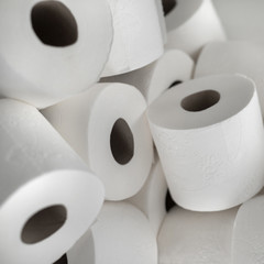 Rolls of daily use toilet paper
