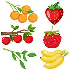 Large set of different types of fruits on white background