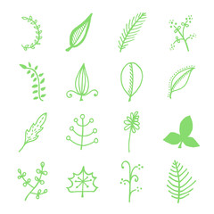 set of green leaves