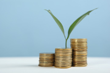 Piles of gold coins and a fresh sprout on the table. cash income growth concept.
